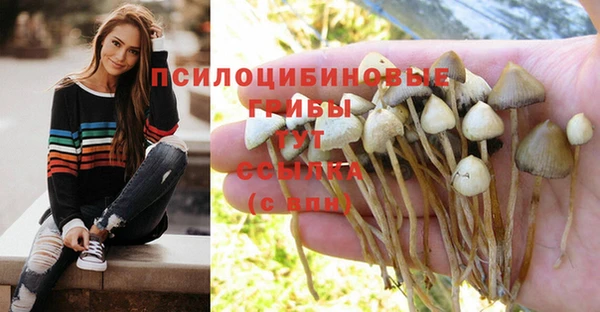 герыч Алзамай